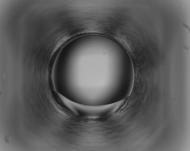 X0000097790108200803071421
