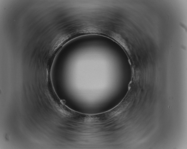 X0000097790109200803071421
