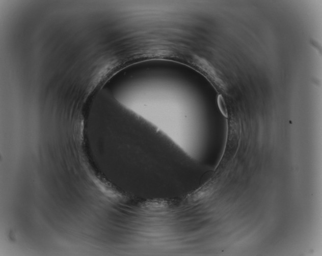 X0000097790110200803071421