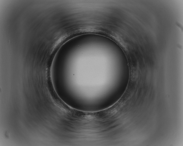 X0000097790111200803071421
