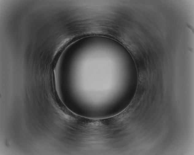 X0000097790112200803071421