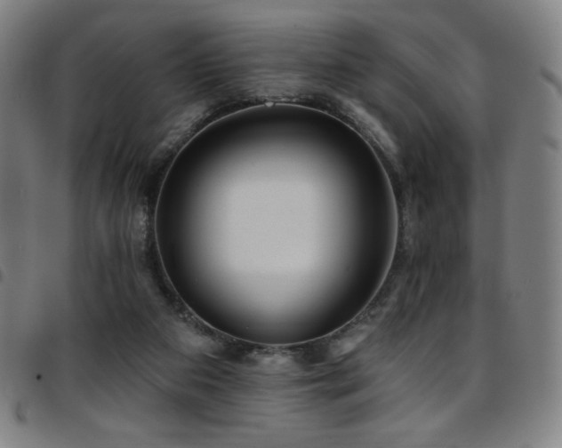 X0000097790113200803071421