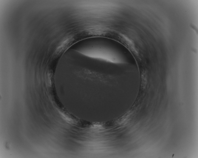X0000097790114200803071421