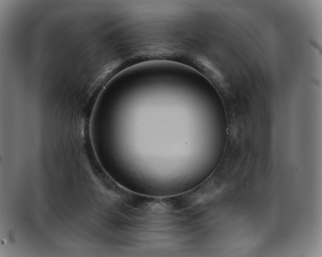 X0000097790115200803071421
