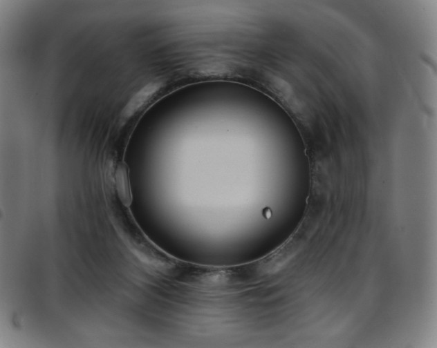 X0000097790116200803071421