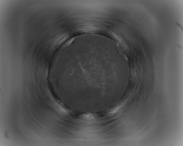 X0000097790117200803071421