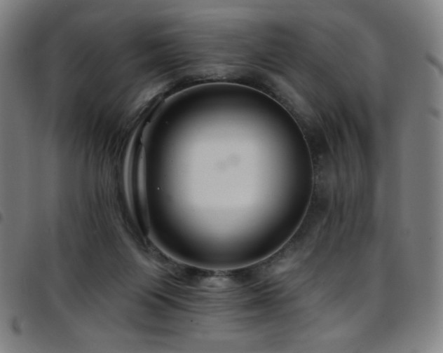 X0000097790119200803071421