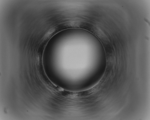 X0000097790120200803071421
