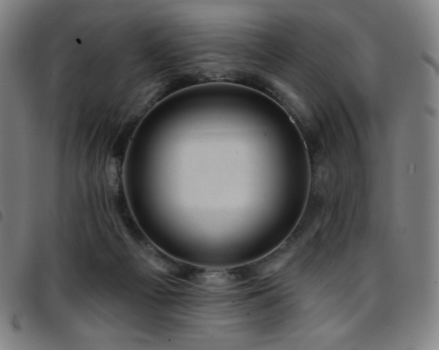 X0000097790121200803071421