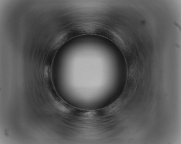 X0000097790122200803071421