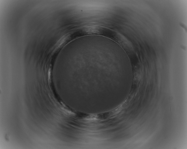 X0000097790124200803071420