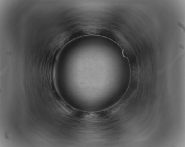 X0000097790125200803071420