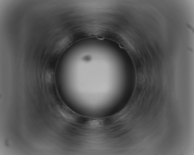 X0000097790126200803071420