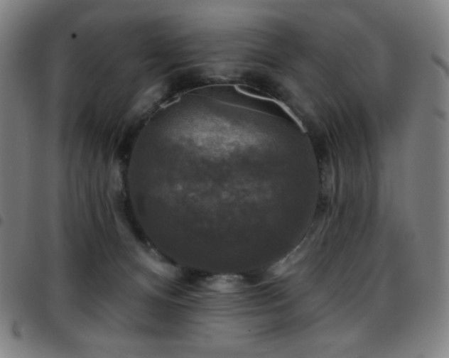 X0000097790128200803071420