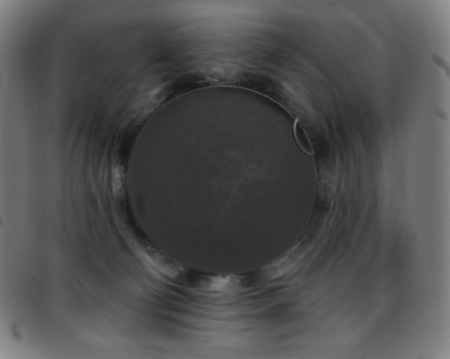 X0000097790130200803071420