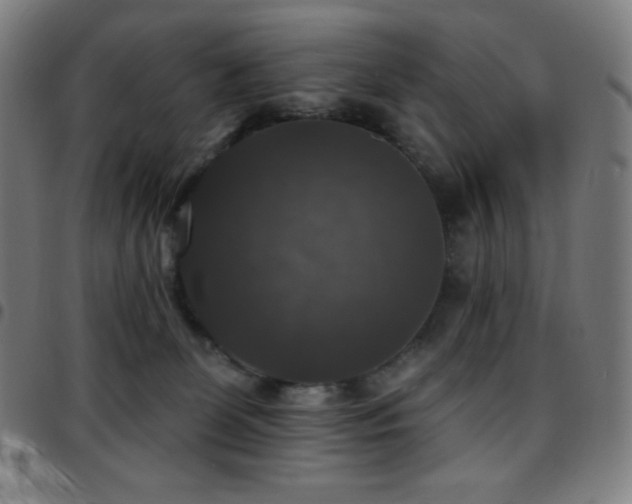 X0000097790131200803071420