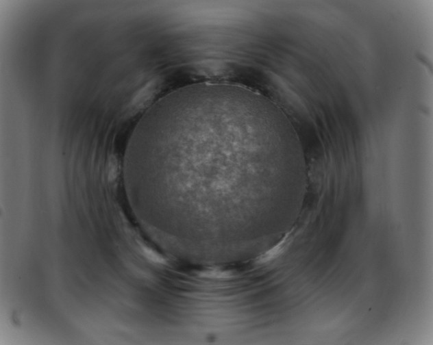 X0000097790132200803071420