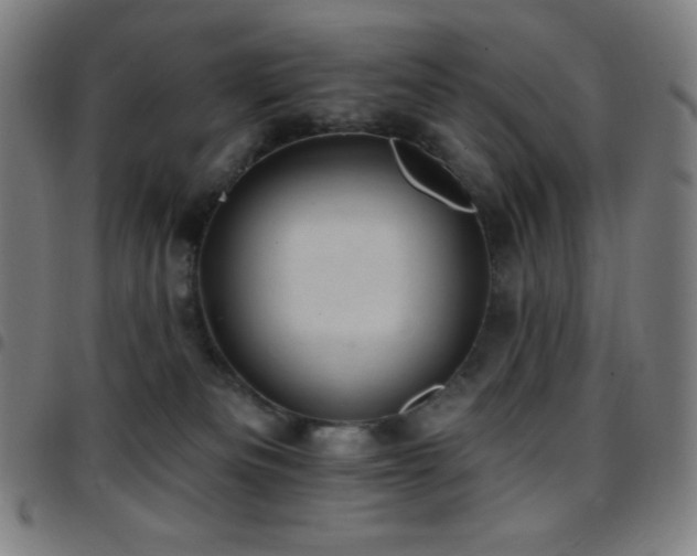 X0000097790133200803071420