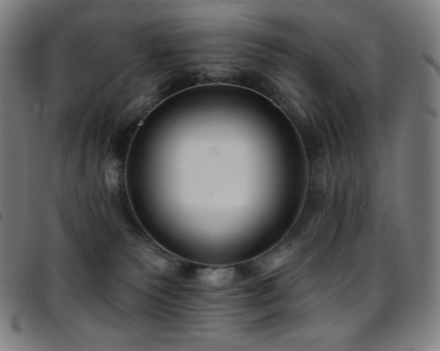 X0000097790135200803071420