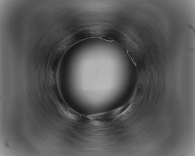 X0000097790136200803071420