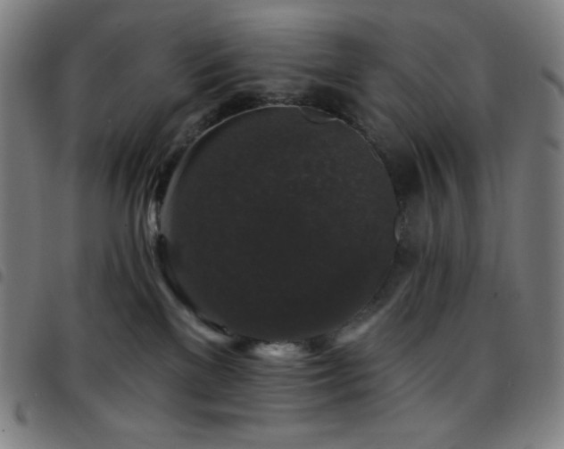 X0000097790137200803071420