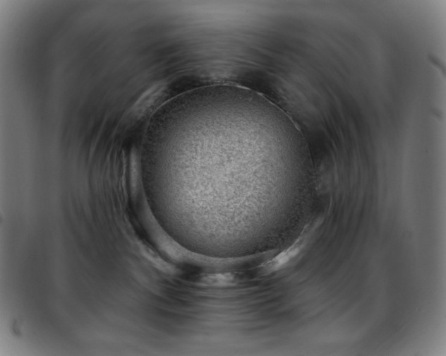 X0000097790140200803071420