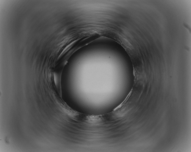 X0000097790141200803071420