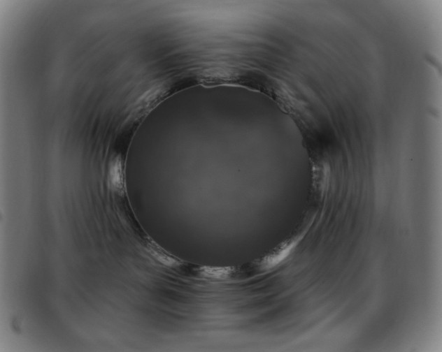 X0000097790143200803071420