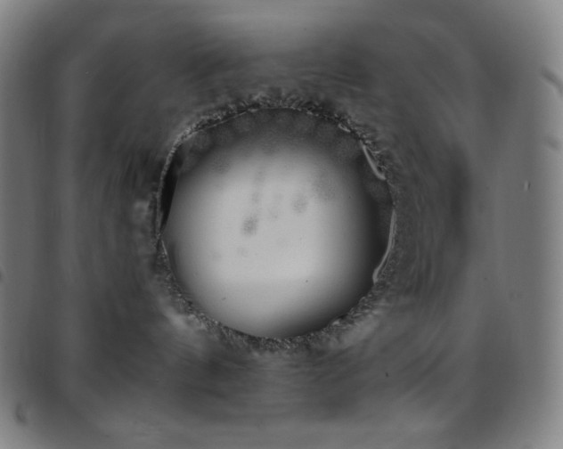 X0000097790144200803071420
