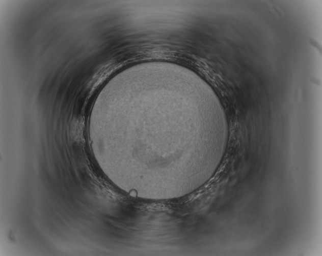 X0000097790146200803071420