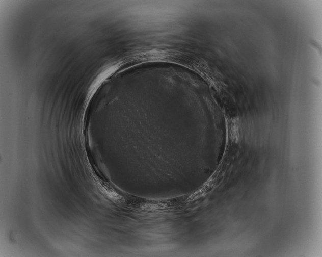 X0000097790147200803071420