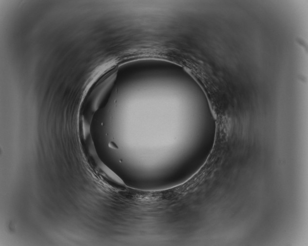 X0000097790148200803071420
