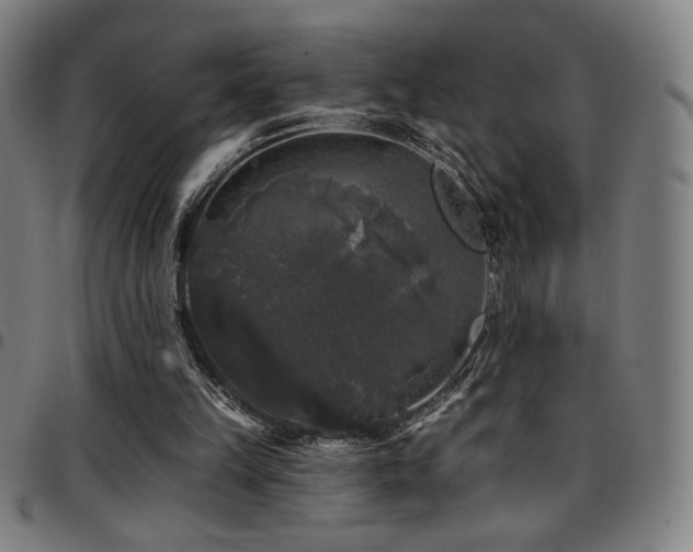 X0000097790149200803071420