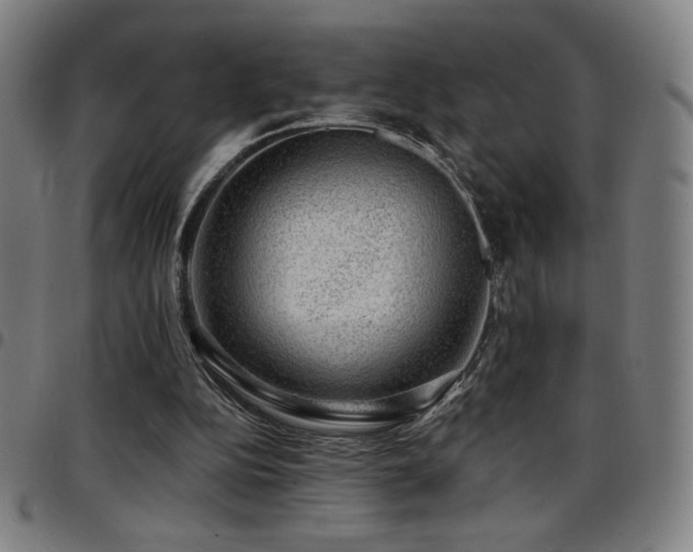 X0000097790152200803071420