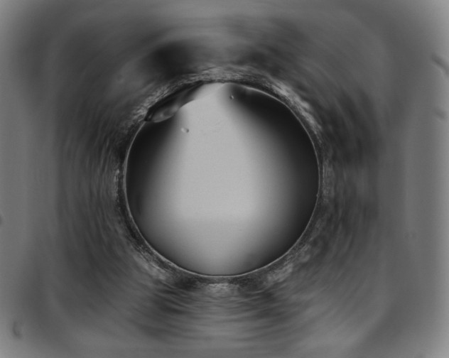 X0000097790153200803071420