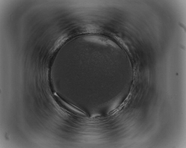 X0000097790154200803071420