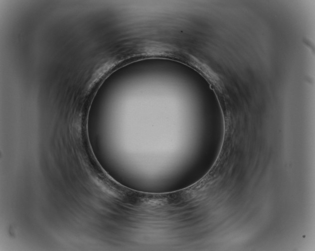 X0000097790155200803071420