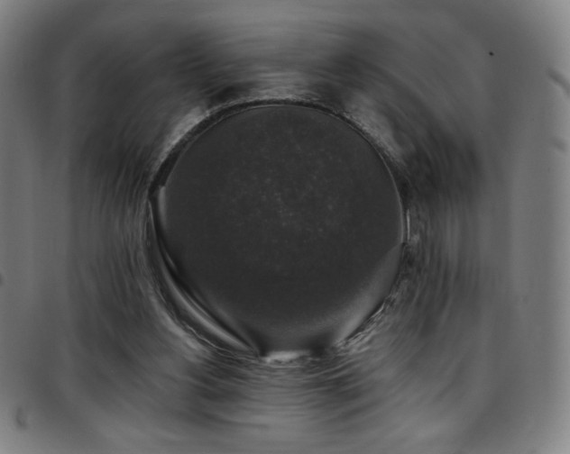 X0000097790156200803071420