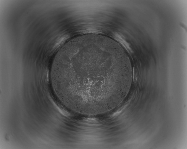 X0000097790157200803071420