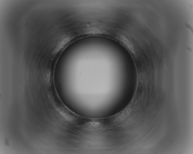 X0000097790159200803071420