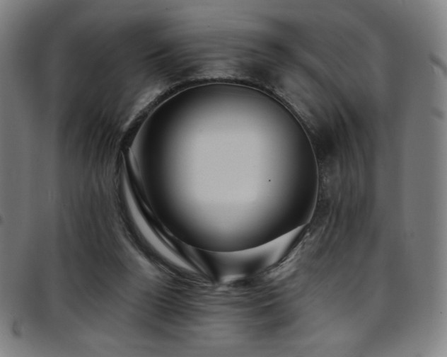 X0000097790160200803071420