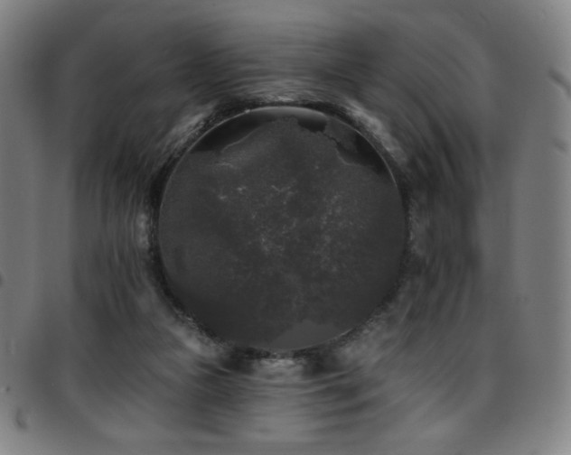 X0000097790161200803071420