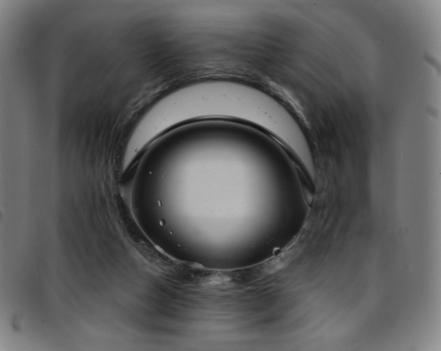 X0000097790162200803071420