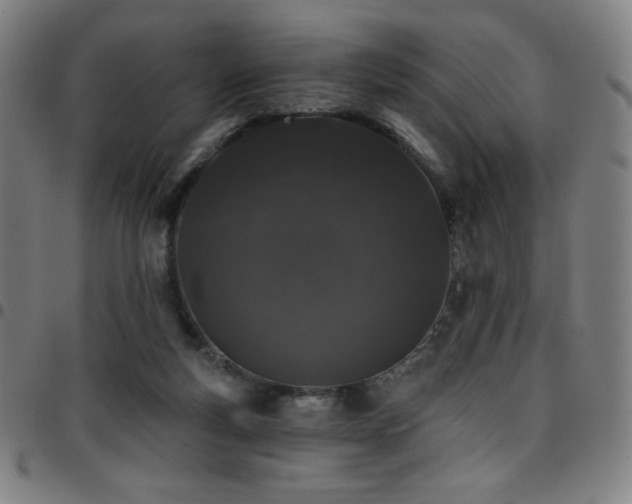 X0000097790163200803071420