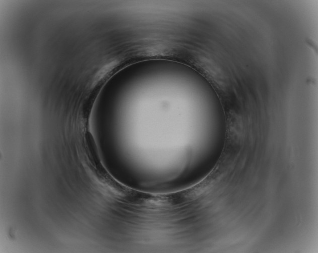 X0000097790164200803071420