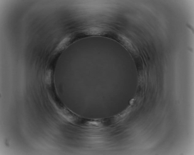 X0000097790167200803071420