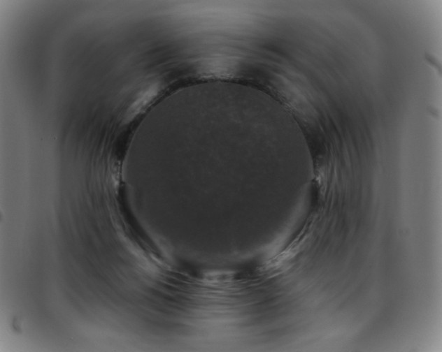 X0000097790168200803071420