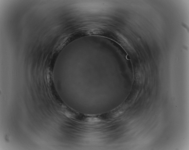 X0000097790169200803071420