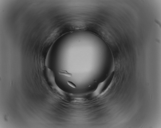 X0000097790170200803071420