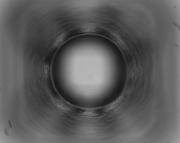 X0000097790171200803071420